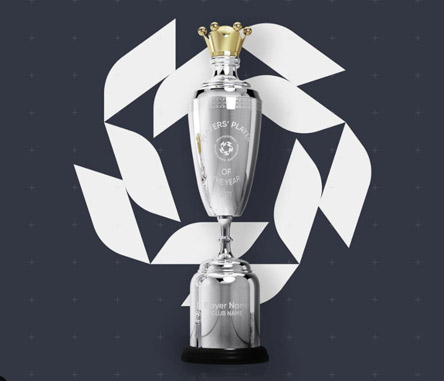 Awards The Pfa