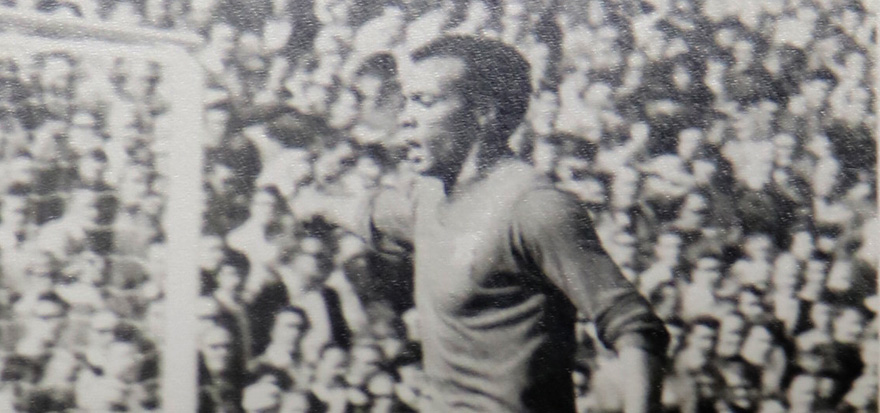 Steve Stacey