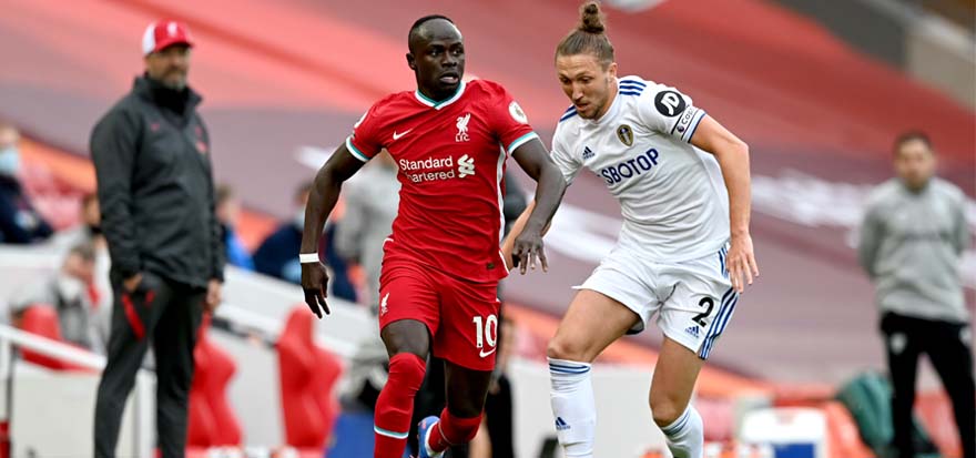 Mane and Ayling 