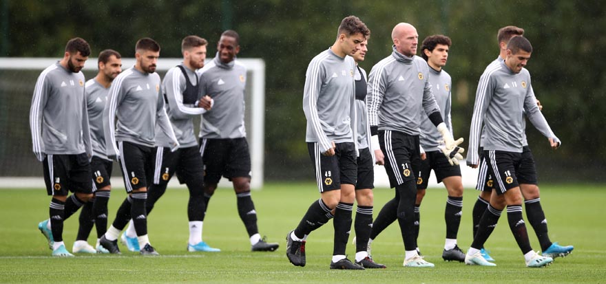 Wolves training