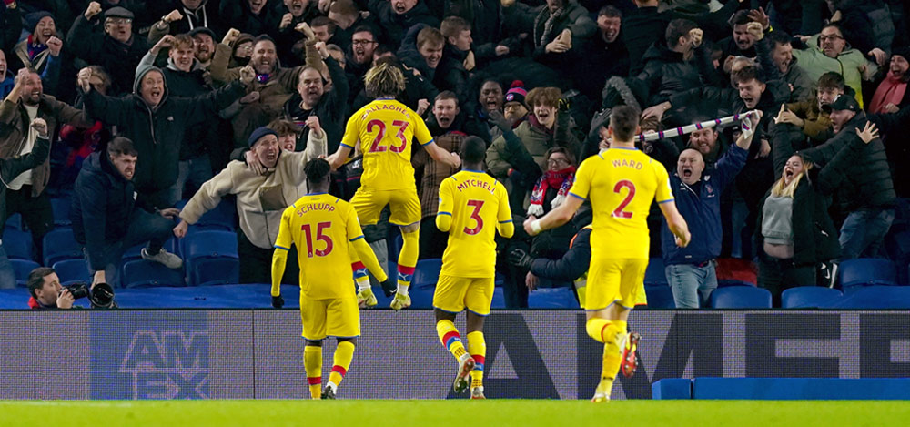Crystal Palace players celebrate with fans
